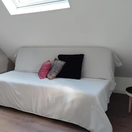 5 Pivoine Thionville