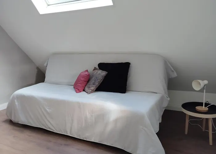 5 Pivoine Thionville